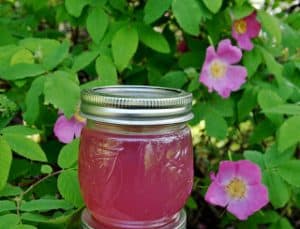 A jar of Alaskan wild rose jelly.