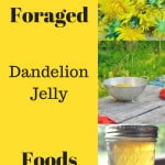 Pin for dandelion jelly.