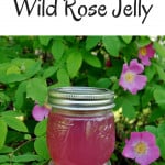 How to make wild rose jelly with Alaska roses.