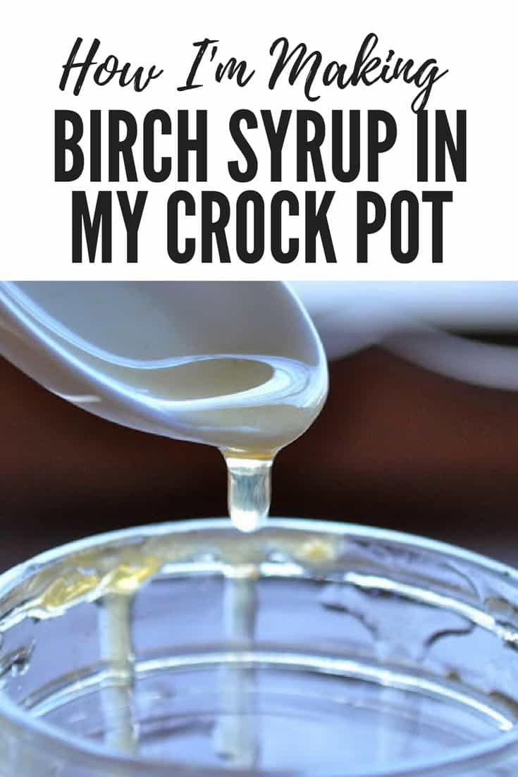 Birch Syrup in my Crock Pot