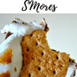 Pin for oven s'mores.