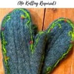 Pin for DIY FELTED MITTENS.