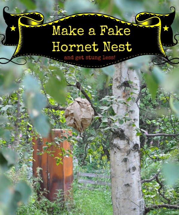 DIY Fake Wasp, Hornet and Meat Bee Nests