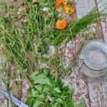 How to Make Your Own Smudge Sticks from homegrown plants