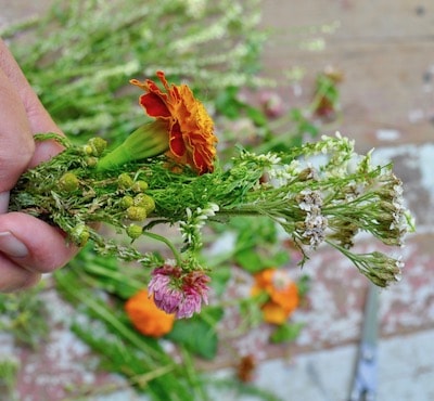 How to Make Your Own Smudge Sticks from homegrown plants