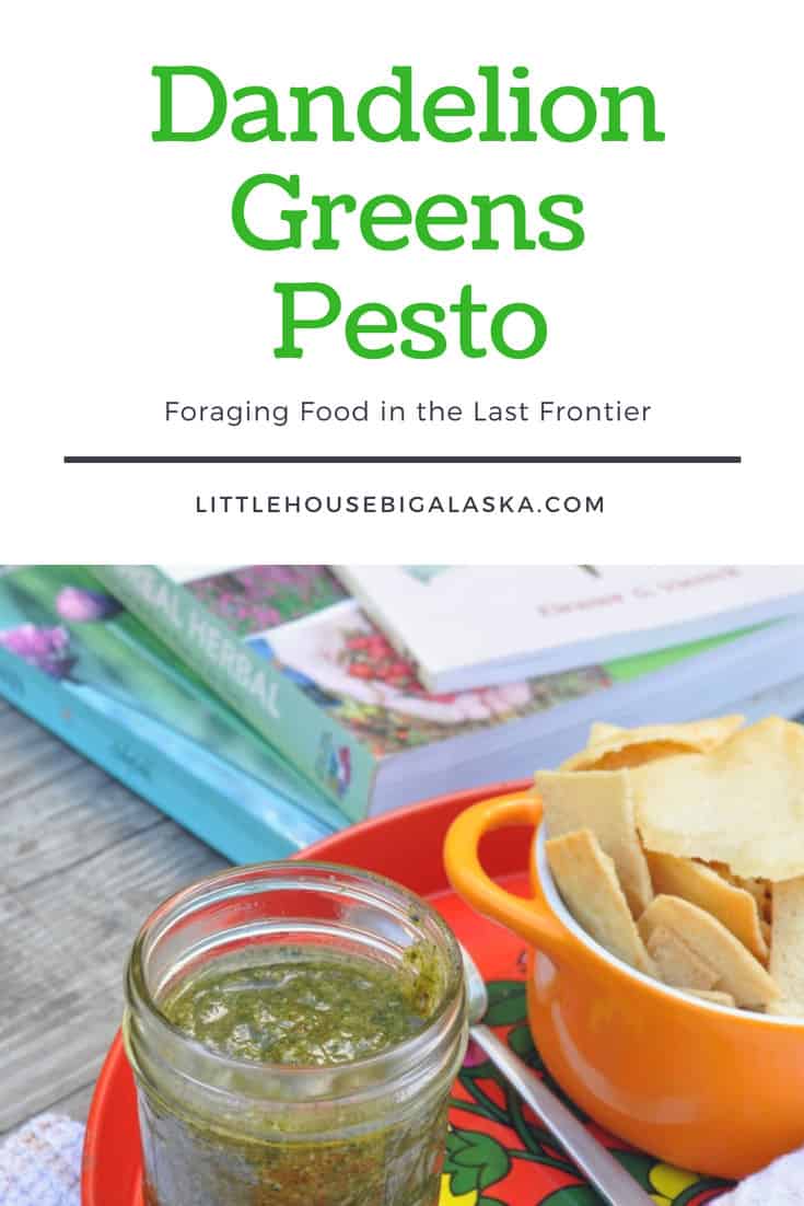 Dandelion Greens Pesto Recipe