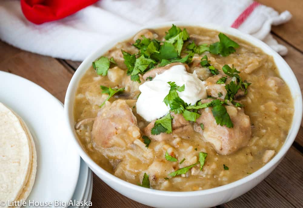 One bowl of easy chile verde