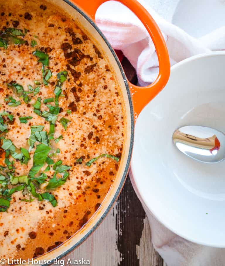 Pot of lasagna soup.