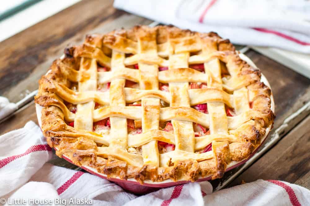 Perfect rhubarb custard pie.