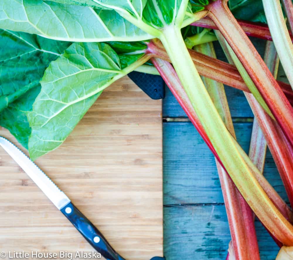 Fresh Rhubarb on a cutting board with a knife.