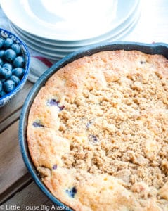 Blueberry coffee cake with streusel and fresh blueberries on the side.