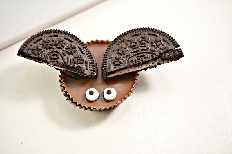 Single Halloween bat treat.