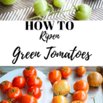 Pin for how to ripen green tomatoes.