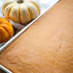 Pumpkin sheet cake with no frosting.