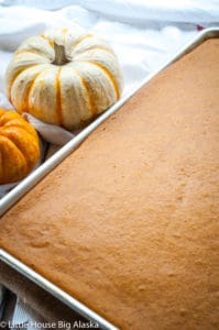 Pumpkin sheet cake with no frosting.