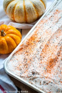 Pumpkin Texas sheet cake spread over with cinnamon icing and topped with sprinkles in a baking pan with fresh pumpkins on the side.
