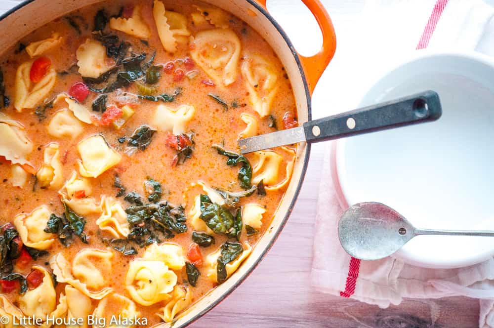 Tortellini soup in a French Oven with a ladle.