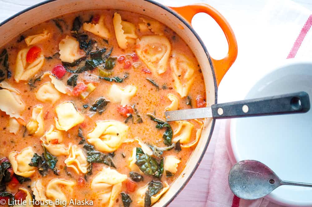 Tortellini soup in a French Oven with a ladle.