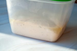 Plastic container with a fougasse bread dough mixture inside resting on a white surface.