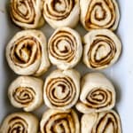 Unbaked gingerbread cinnamon rolls arranged in a pan, set aside to rise.