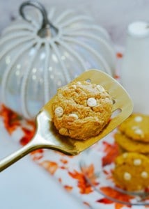 A white chocolate chip pumpkin cookie on a spatula.