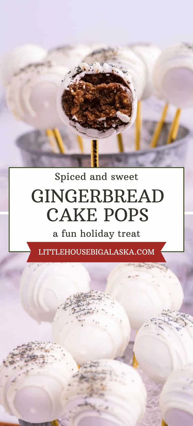 White-coated GINGERBREAD CAKE POPS on sticks, one with a bite showing the brown gingerbread inside; sprinkled with silver sugar, arranged on a stand.