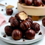Chocolatey peanut butter balls with chocolate chips on the surface.