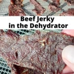 Pin for beef jerky in the dehydrator.