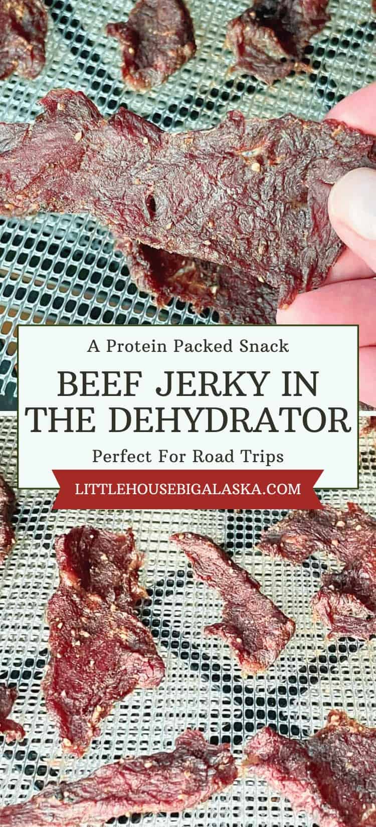 Several pieces of homemade beef jerky on dehydrator trays, with a hand holding one piece; text overlay promotes beef jerky as a protein snack made in a dehydrator.