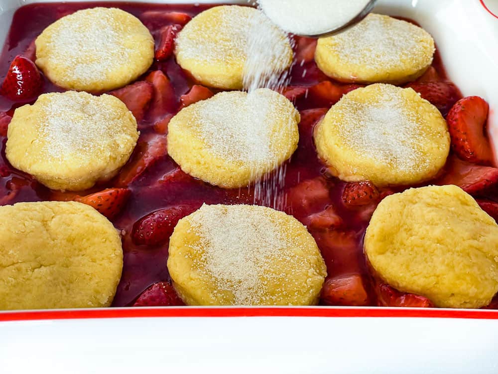 Sugar sprinkling on a top of the biscuits on the strawberry cobbler.