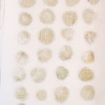 Patting pickle chips dry.