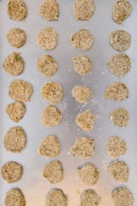 Dip ALL the pickle chips in the flour, egg, and bread crumbs.