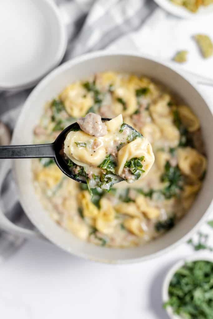 Serving spoon of tortellini soup. 