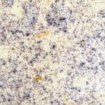 Whisked egg, cream, cinnamon and vanilla paste.