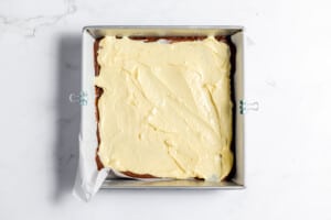 Cheesecake Layer for cheesecake brownies.