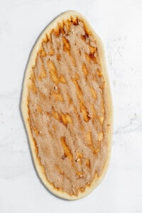 Cinnamon and sugar sprinkled on top of bread dough.