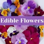 Pin graphic for post on Edible Flowers, has pansies and text.
