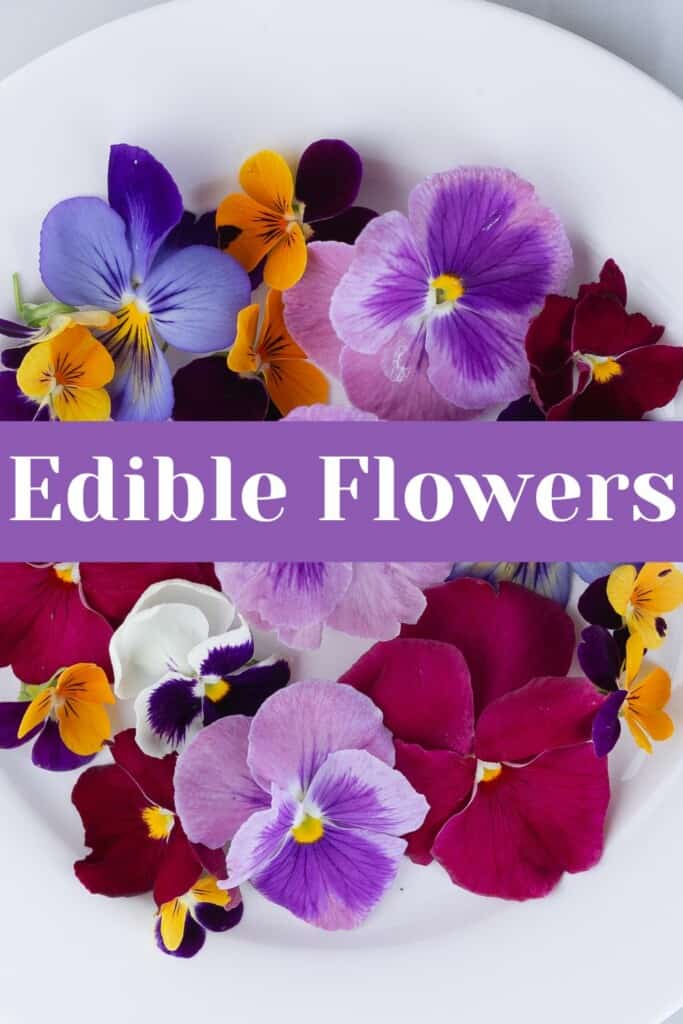 Pin graphic for post on Edible Flowers, has pansies and text.