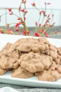 Chocolate peanut butter cookies on a white plate, crock pot candy.