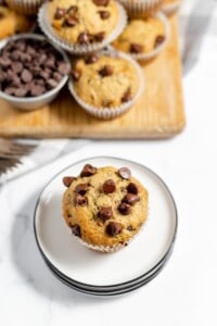 Chocolate chip muffins on a plate with chocolate chips.