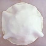 An image of a white shell on a white surface.