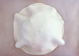 An image of a white shell on a white surface.