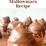 Love the mallowmars recipe.