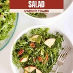 A bowl of Pecan Apple Arugula Salad with fresh apple slices and crunchy pecans sits on a white plate with a fork. Another bowl of the salad is partially visible above.