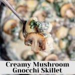 Creamy mushroom gnocchi skillet is a delicious dish that combines the earthy flavors of mushrooms and the satisfying texture of gnocchi.