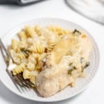 A plate of creamy chicken and pasta served with melted cheese on top, with a fork on the side and an instant pot visible in the background.