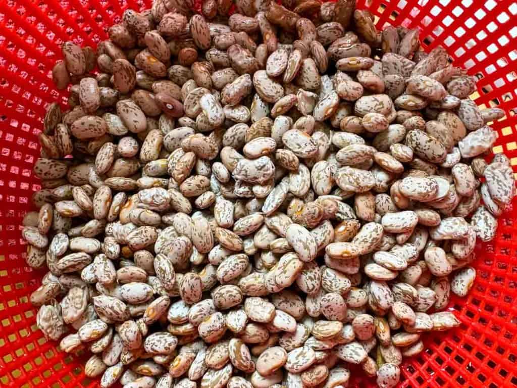 A close-up of speckled pinto beans filling a red plastic basket, ready for the slow cooker.