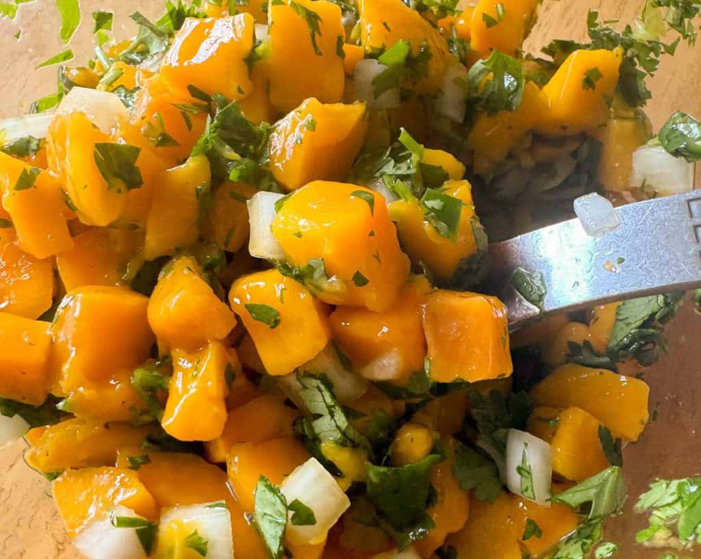 Close-up view of a mango salsa with diced mangoes, chopped onions, and cilantro, mixed together in a bowl with a fork.