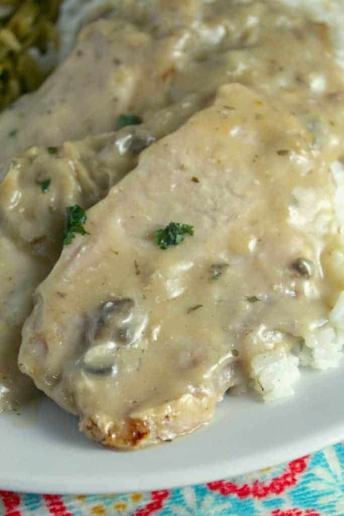 Two pork chops in creamy mushroom sauce on a white plate.