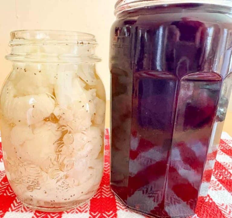 Two jars on a red and white patterned surface: one with light-colored sliced pickled onions, and the other with a dark purple liquid, possibly grape juice or beet juice.